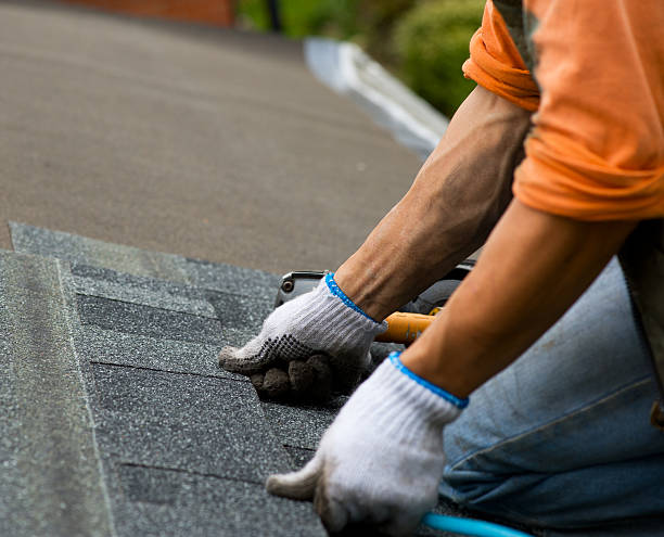 Best Shingle Roofing Installation  in Leakesville, MS