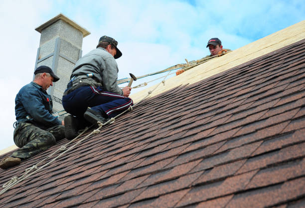 Best Commercial Roofing Services  in Leakesville, MS